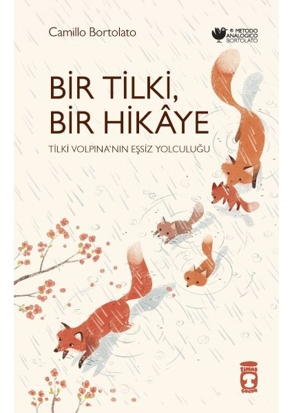 Bir Tilki Bir Hikaye