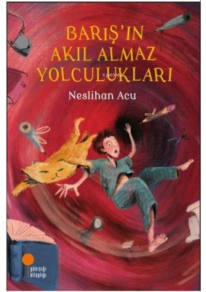 Barış'ın Akıl Almaz Yolculukları