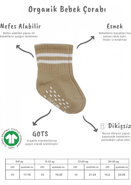 Bistyle 5'li Penye Kaymaz Çember Soket Çorap 10122 Bej fiyatları