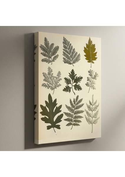 Vintage Botanik Illüstrasyon Tablosu