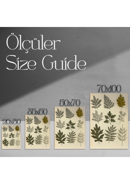 Vintage Botanik Illüstrasyon Tablosu modelleri