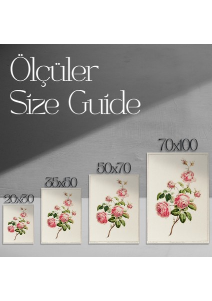 Vintage Pembe Gül Botanik Illüstrasyon Tablosu modelleri