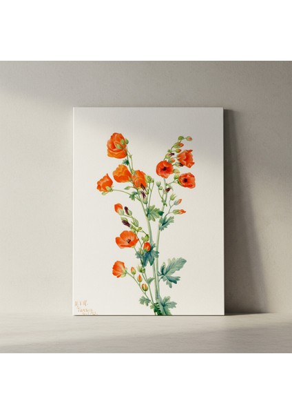 Suluboya Turuncu Çiçekler Botanik Illüstrasyon Tablosu fiyatları