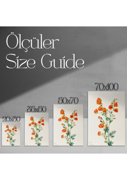 Suluboya Turuncu Çiçekler Botanik Illüstrasyon Tablosu modelleri