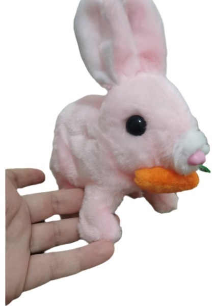 Kulakları Işıklı Pilli Tavşan fiyatları