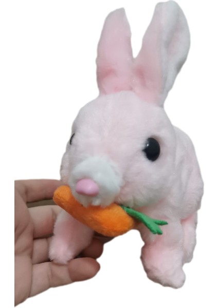 Kulakları Işıklı Pilli Tavşan fırsatları