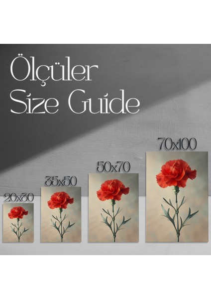 Canlı Kırmızı Karanfil Botanik Illüstrasyon Tablosu modelleri