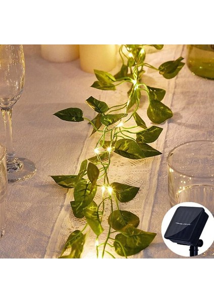 Güneş Enerjili Sarmaşık LED Dekor 5 Metre modelleri