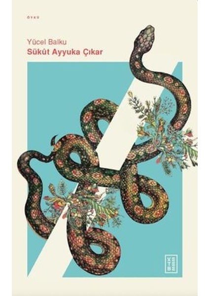 Sükut Ayyuka Çıkar