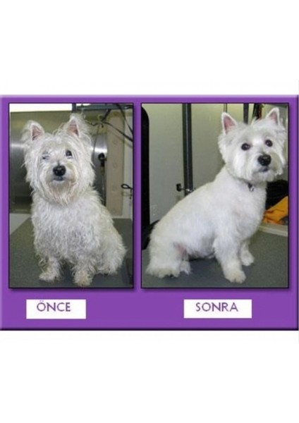 Profesyonel Kedi Köpek ve Evcil Hayvan Traş Makinesi Elektrikli indirimleri