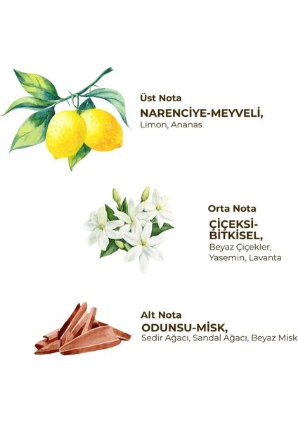 Nessiworld Eyüp Sabri Tuncer Kadın Roll On Deodorant 75 ml Fresh fiyatları