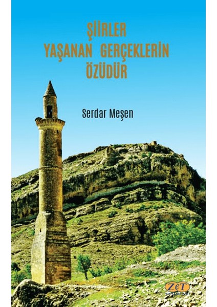 Şiirler Yaşanan Gerçeklerin Özüdür