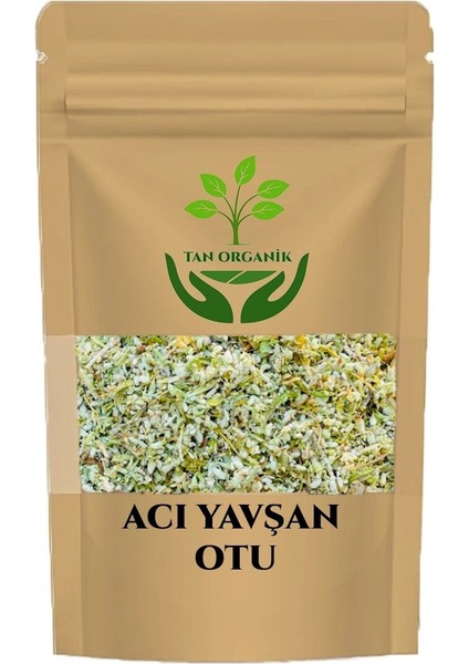 Acı Yavşan Otu (Artemisia Absinthium L.) Bodur Mahmut 50GR
