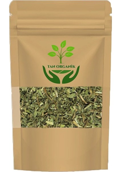 Damar Otu (Folium Plantaginis) 25GR