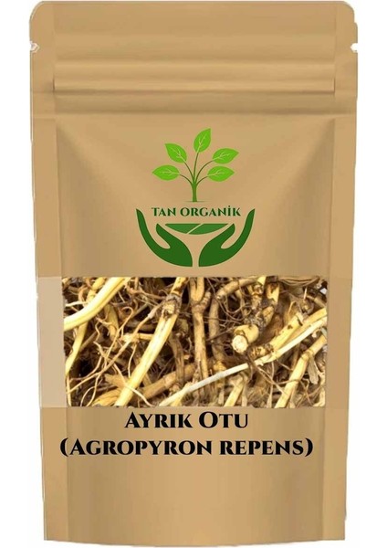 Ayrık Otu (Agropyron Repens) 500GR