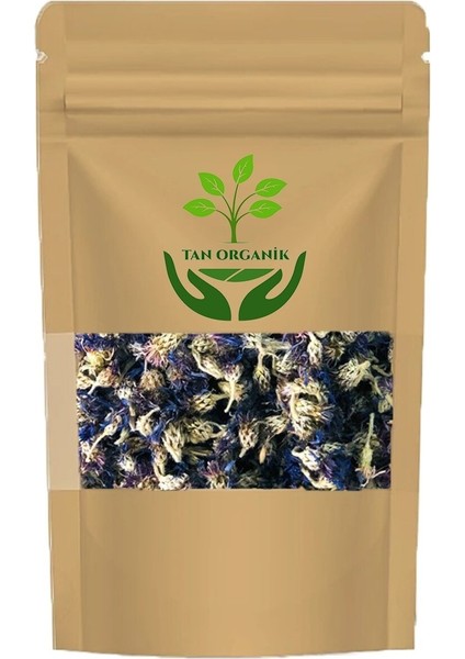 Mavi Kantaron (Peygamber Çiçeği) 60GR