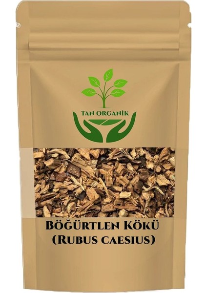 Böğürtlen Kökü (Rubus Caesius) 100GR