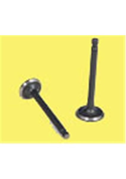 Gunes 4402-4413 - Subap Emme Egzoz P206 1.1 I 8V In-4/ex-4