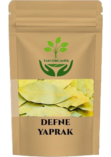 Defne Yaprağı 25GR