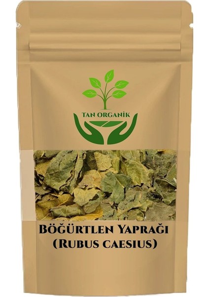 Böğürtlen Yaprağı (Rubus Caesius) 100GR