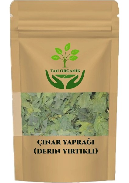 Çınar Yaprağı Çayı (Derin Yırtıklı) 100GR