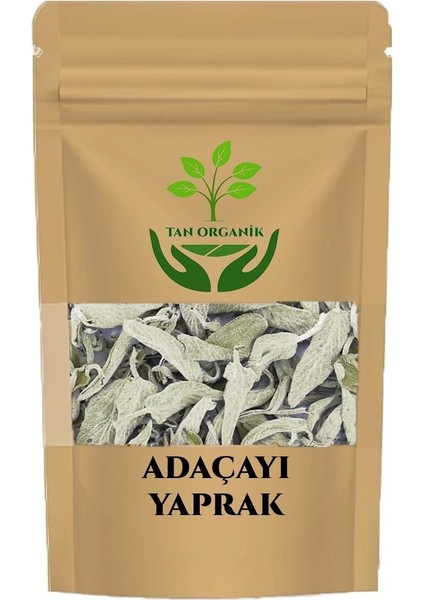 Adaçayı Paket 1 kg