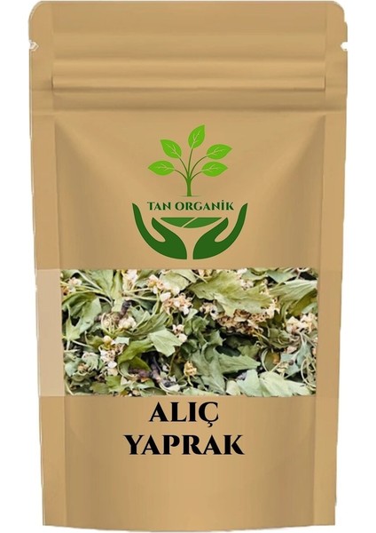 Alıç Yaprağı (Crataegus Monogyna) 500GR