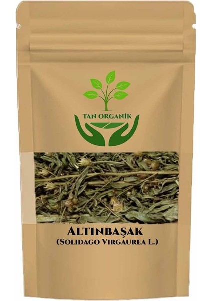 Altınbaşak Andız Otu (Solidago Virgaurea L.) 250GR