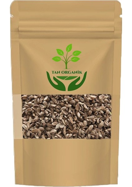 Diş Otu Tohumu (Ammi Visnaga) 500GR