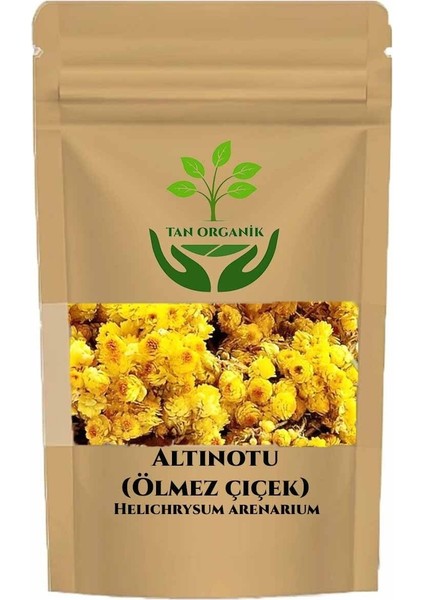 Altınotu (Ölmez Çiçek) Helichrysum Arenarium 250GR