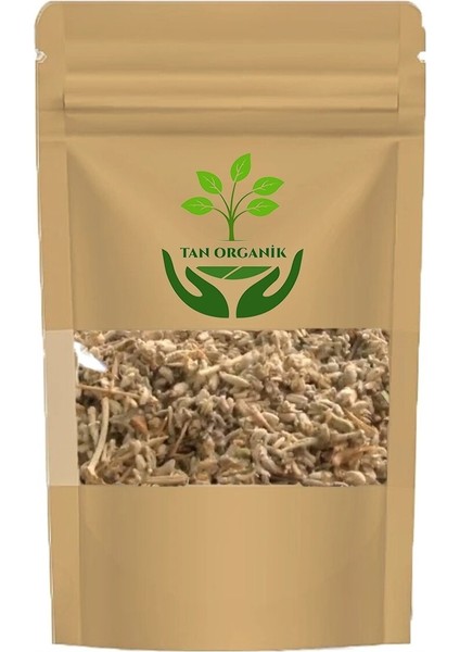 Acı Yavşan (Artemisia Abrotanum) 1000GR