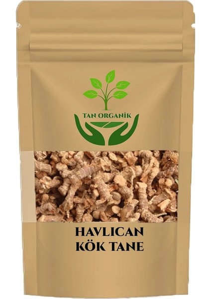 Havlıcan Kök 250GR