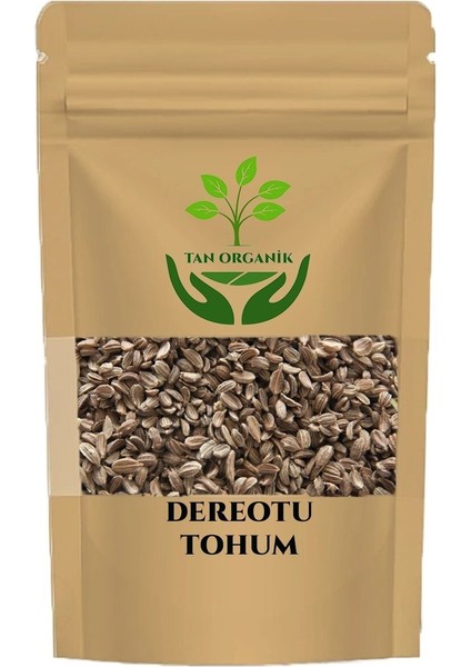 Dere Otu Tohum (Anethum Graveolens L.) 25GR