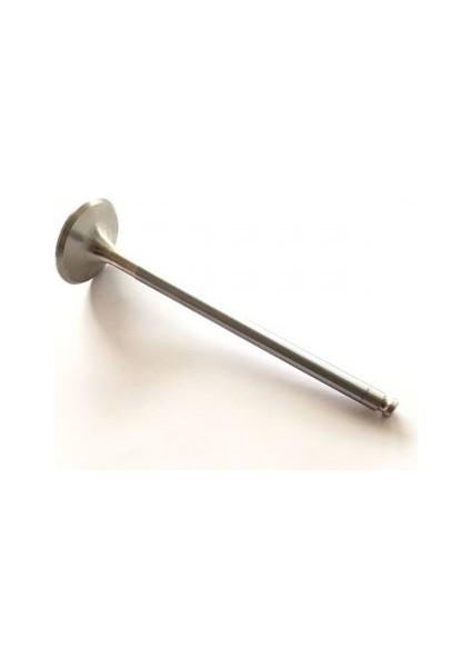 Gunes 1356-1357 - Subap Emme Egzoz Tmpr-Tıpo-Uno 2.0 16V In-8/ex-8