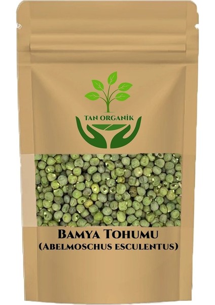 Bamya Tohumu (Abelmoschus Esculentus) 1000GR