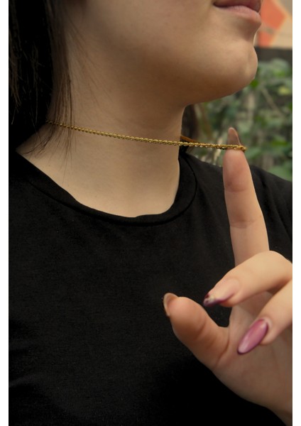 Burgu Model Unisex Çelik Zincir Kolye 2 mm fiyatları