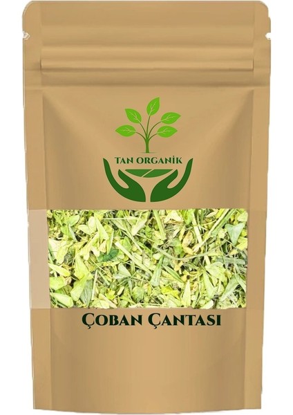Çoban Çantası Paket 50GR