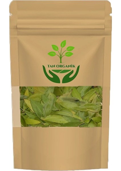 Mersin Yaprağı 1 kg