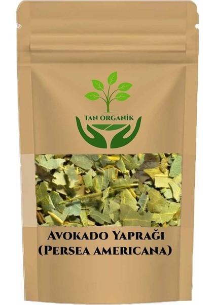 Avakado Yaprağı Paket 100GR