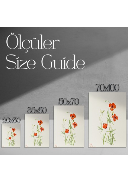 Suluboya Kızıl Haşhaş Çiçekleri Botanik Illüstrasyon Tablosu modelleri