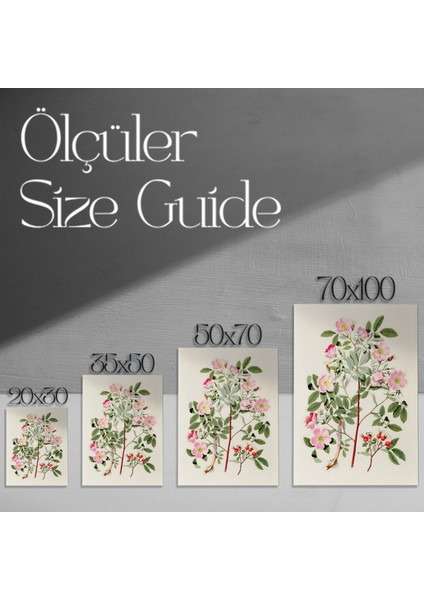 Pembe Gül ve Yaban Mersini Botanik Illüstrasyon Tablosu modelleri