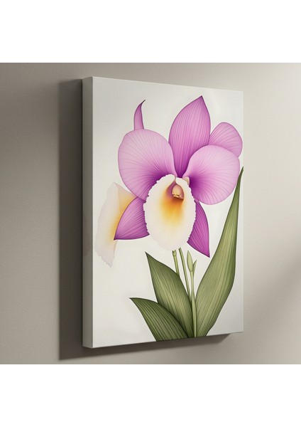 Lavanta ve Beyaz Orkide Botanik Illüstrasyon Tablosu