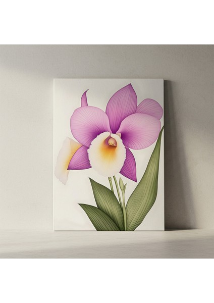 Lavanta ve Beyaz Orkide Botanik Illüstrasyon Tablosu fiyatları