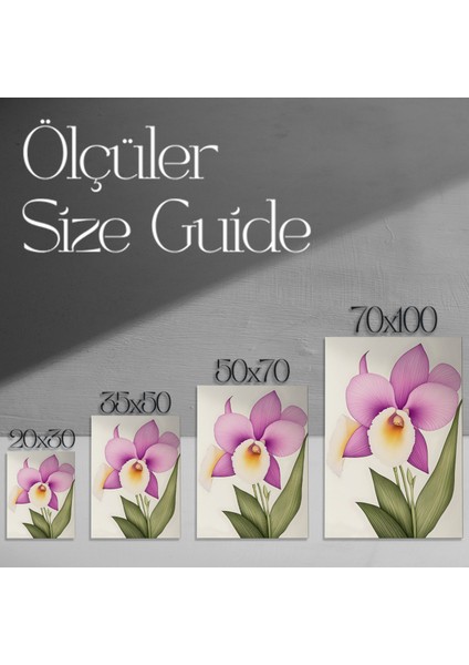 Lavanta ve Beyaz Orkide Botanik Illüstrasyon Tablosu modelleri