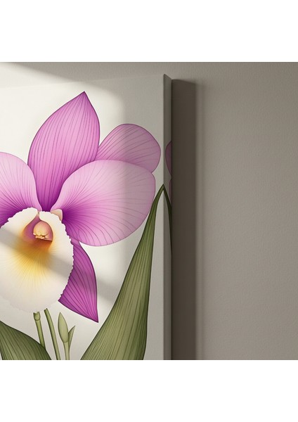 Lavanta ve Beyaz Orkide Botanik Illüstrasyon Tablosu indirimleri