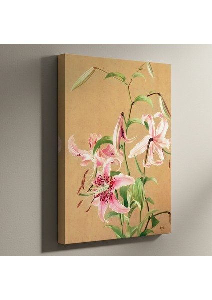 Zarif Zambaklar Botanik Illüstrasyon Tablosu