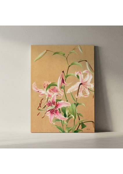 Zarif Zambaklar Botanik Illüstrasyon Tablosu fiyatları