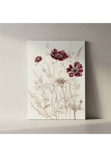 Kırmızı ve Beyaz Anemon Çiçekleri Botanik Illüstrasyon Tablosu fiyatları