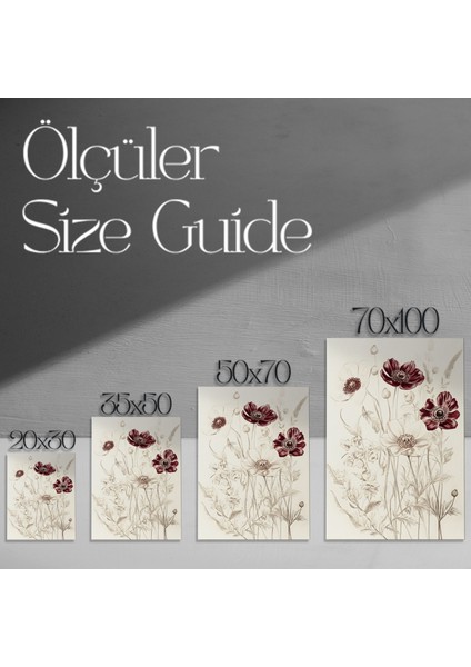 Kırmızı ve Beyaz Anemon Çiçekleri Botanik Illüstrasyon Tablosu modelleri