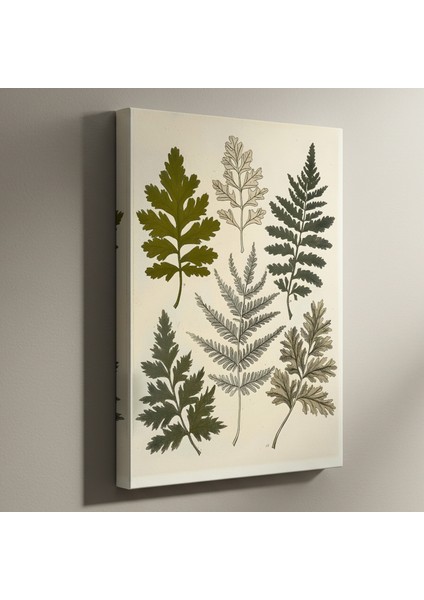 Vintage Eğrelti Otu Baskısı Botanik Illüstrasyon Tablosu